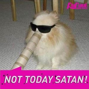 Meet your Posher, Maxine